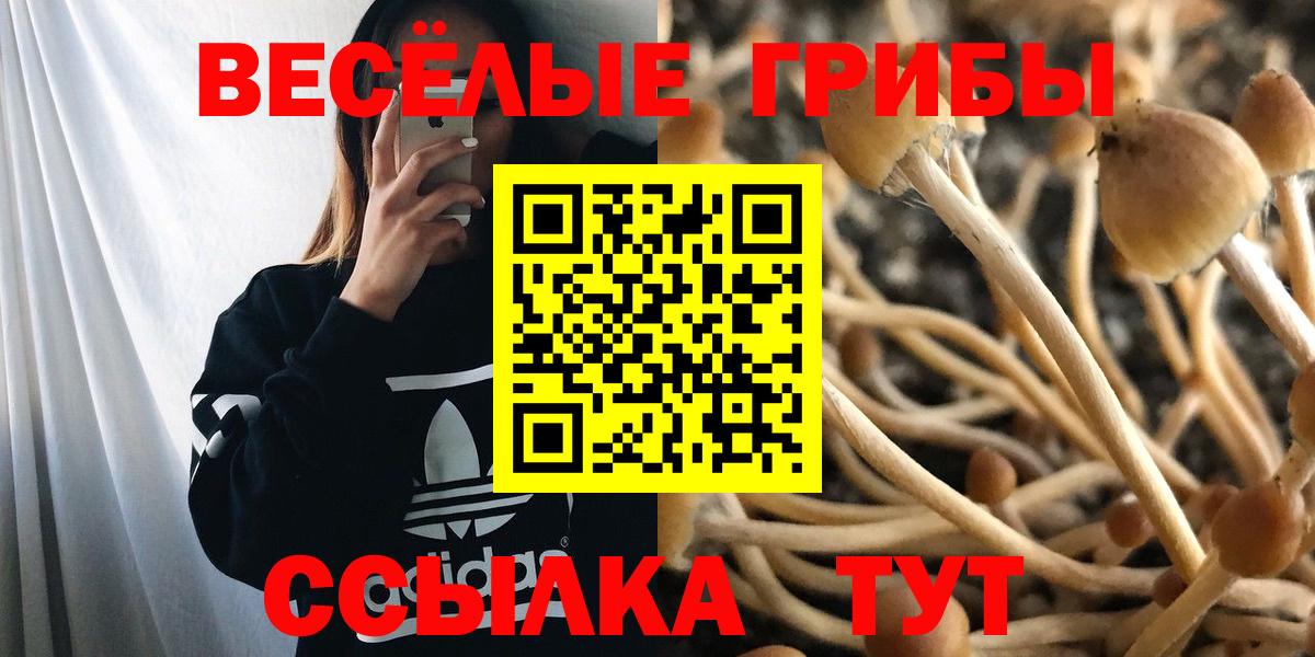 Псилоцибиновые грибы GOLDEN TEACHER Шахты